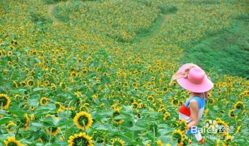 如何成为一个会拍照的男朋友?