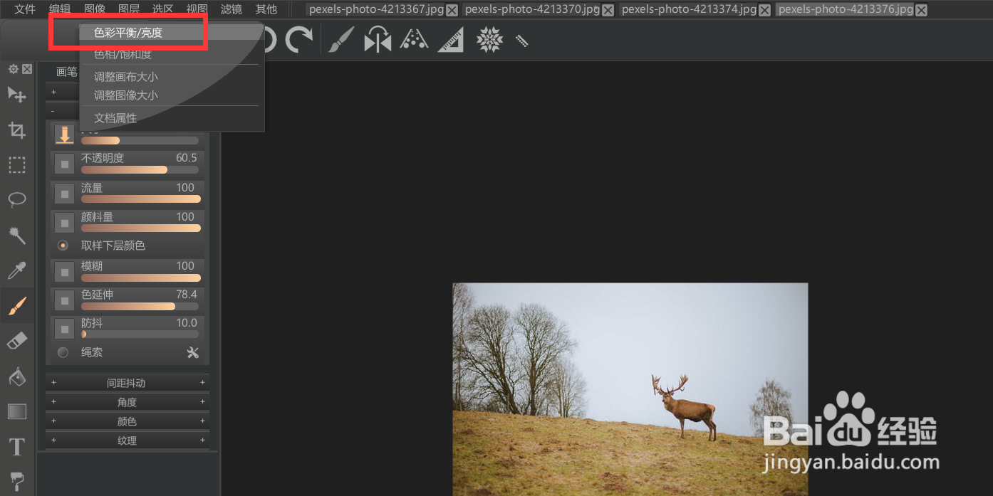 怎么使用paintstorm修改图像的亮度？