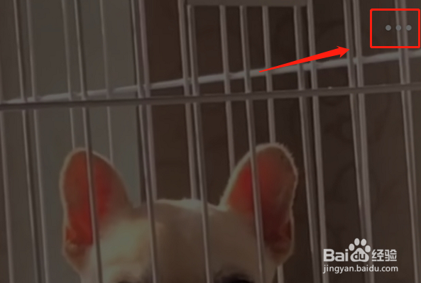 怎么下载微博视频到相册