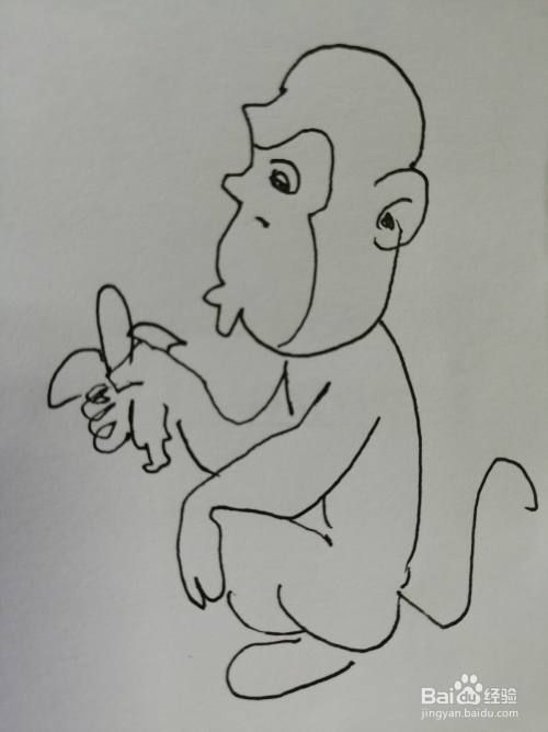 吃香蕉的小猴子怎么画