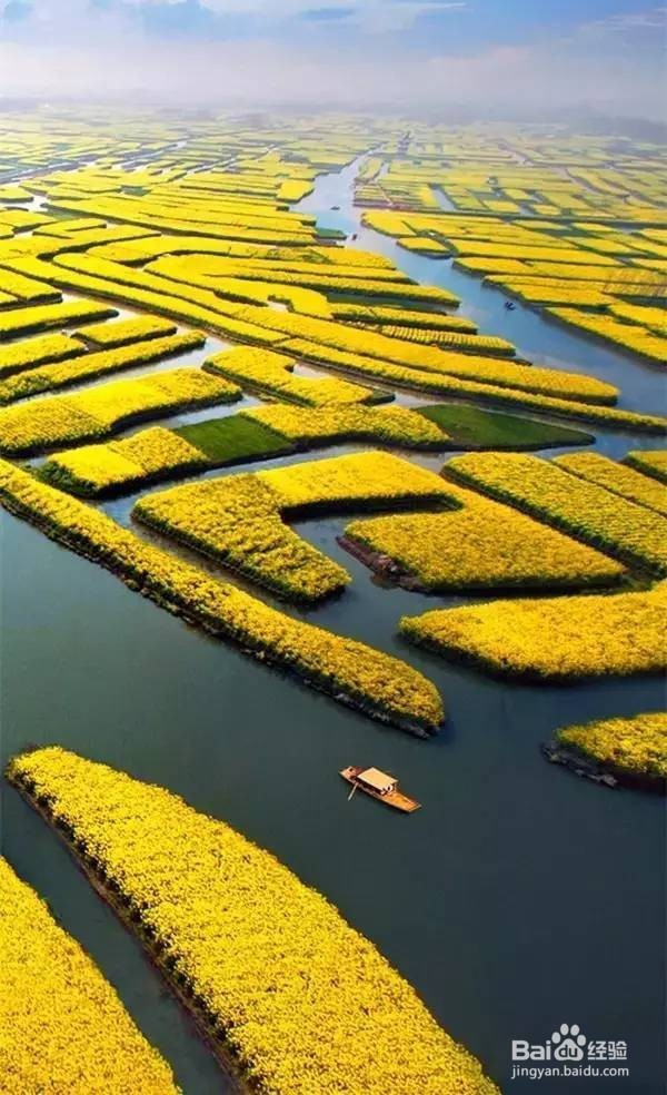 油菜花季节,最适合带家人去的7个地方!