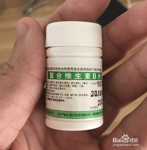 猫贫血的症状及处理方法