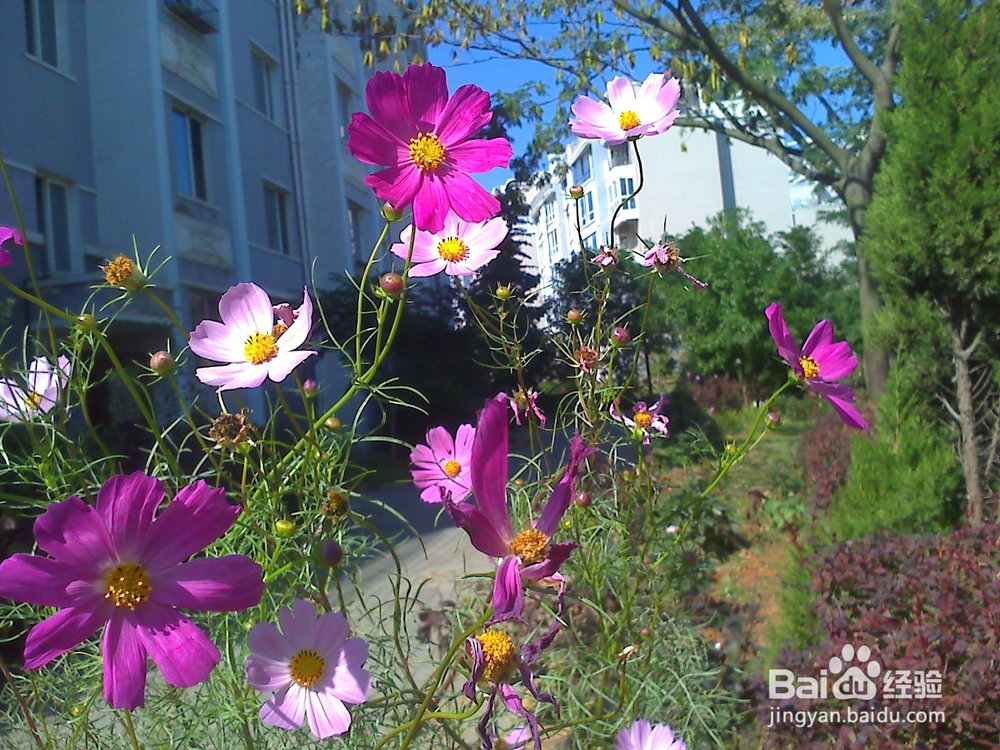 读书的好处---13