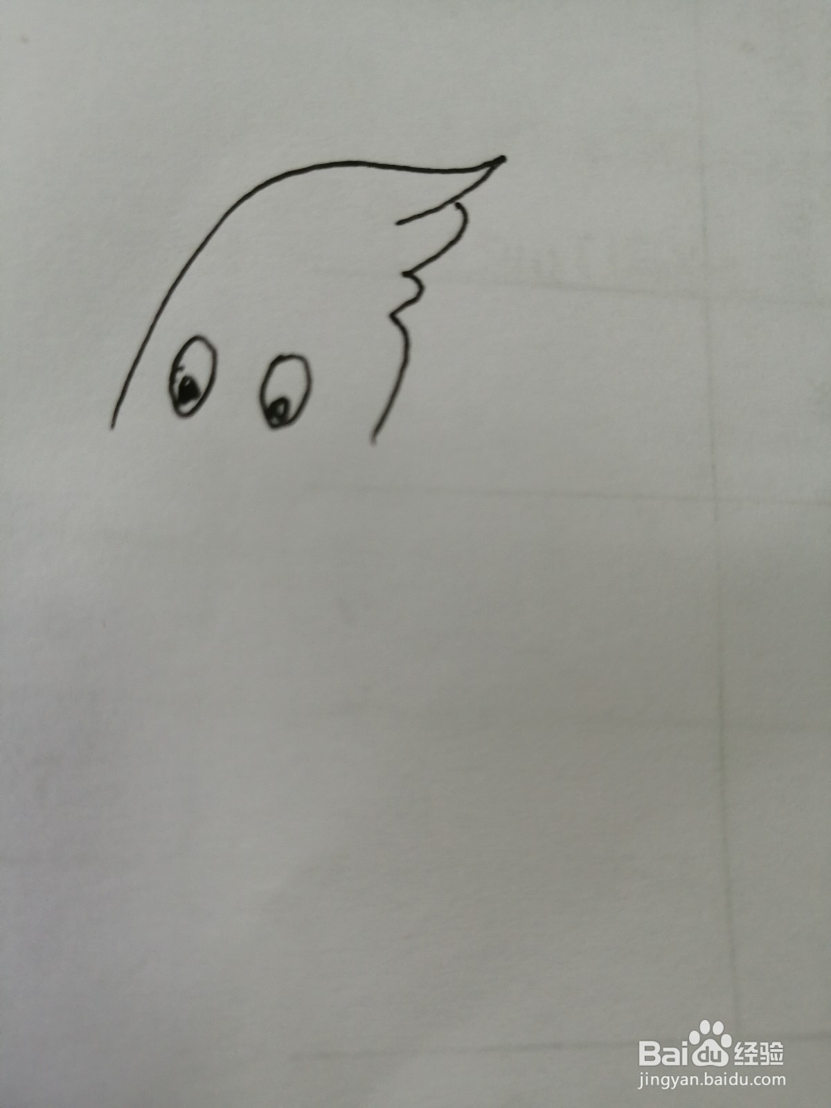 可爱的小乌鸦怎么画