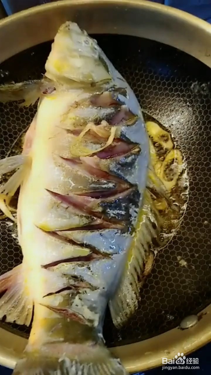 炖鲤鱼怎样做才好吃