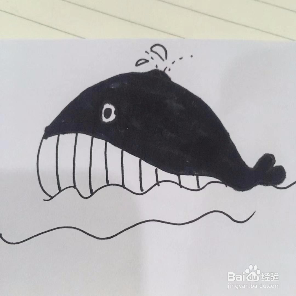 简单画鲸鱼在喷水