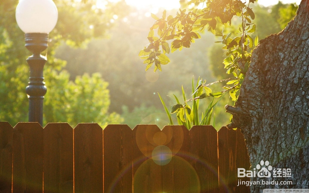 痤疮症状与防治