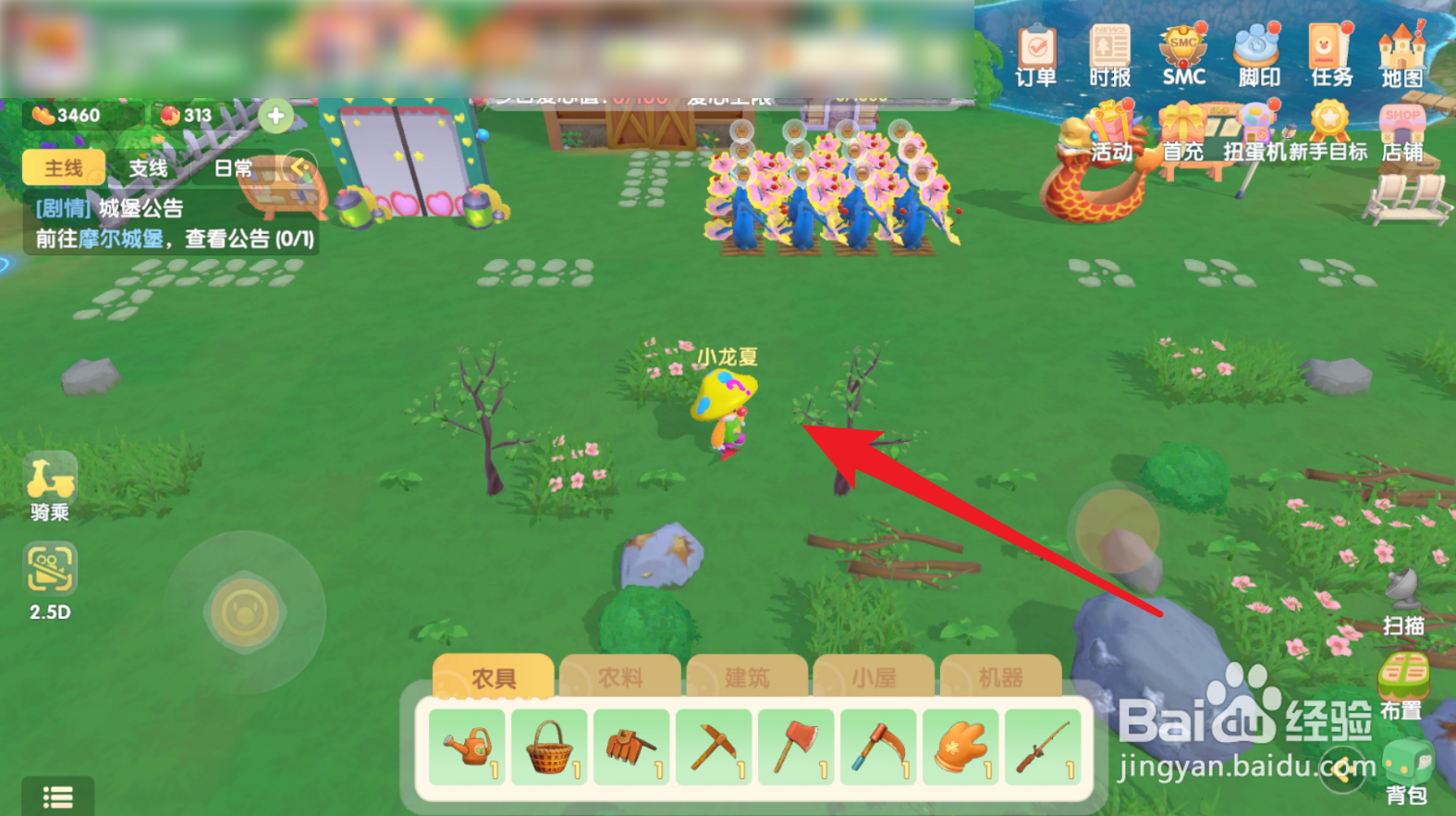 摩尔庄园怎么召唤家禽出门