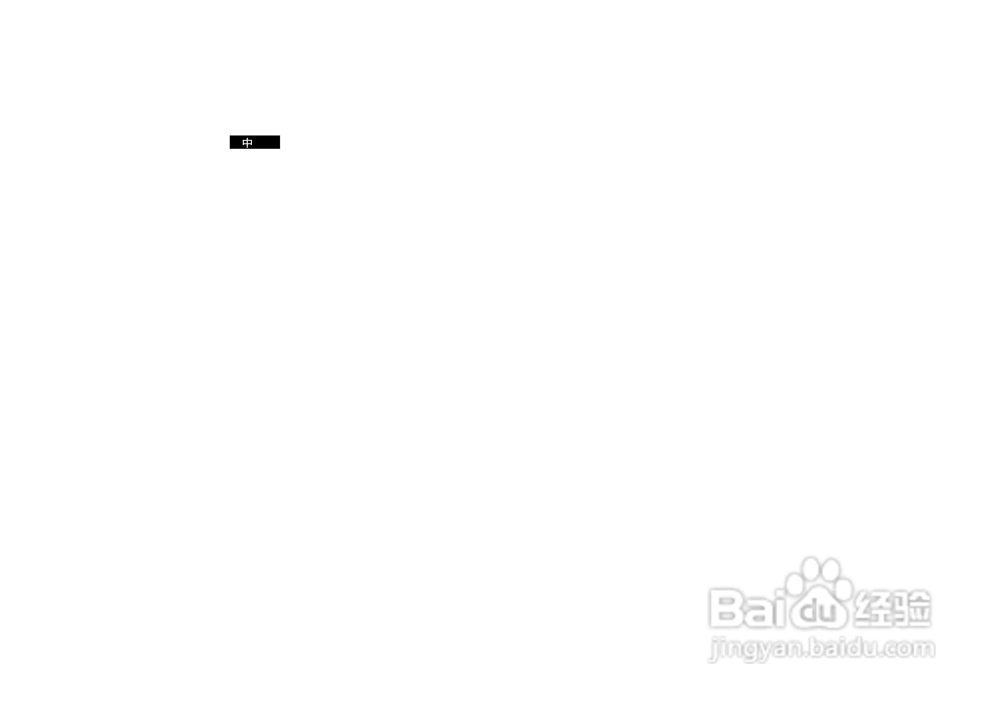 三星VP-D190MS数字摄录一体机用户说明书:[10]