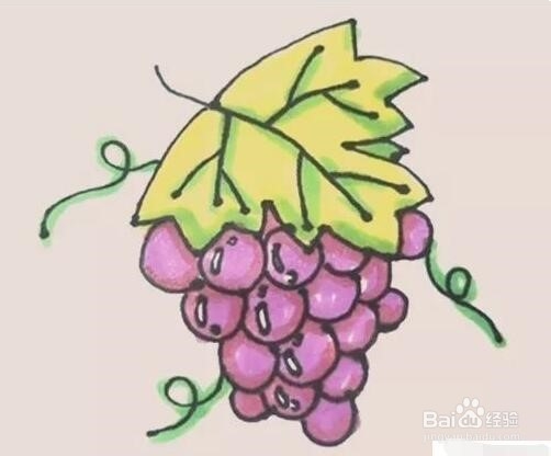 伴儿成长简笔画系列-怎样画葡萄简笔画