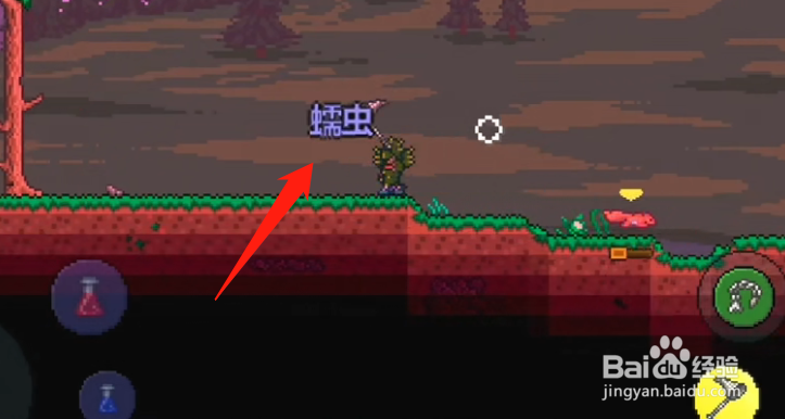 泰拉瑞亚鱼饵怎么获得