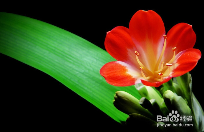 如何提高个人素质