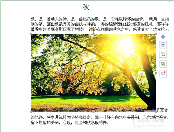 在W WPS文字 软件中如何插入图片？