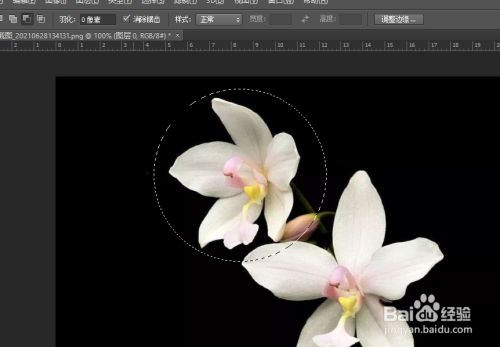 怎么用ps把图片抠出一个圆形