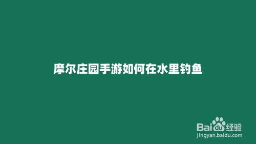 摩尔庄园手游如何在水里钓鱼