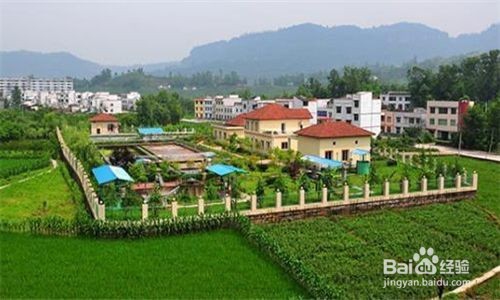 宅基地别人强占怎么办