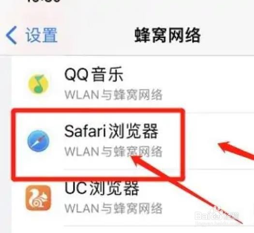 Safari浏览器在哪里开启网络权限