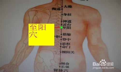 心口痛冠心病的调理方法