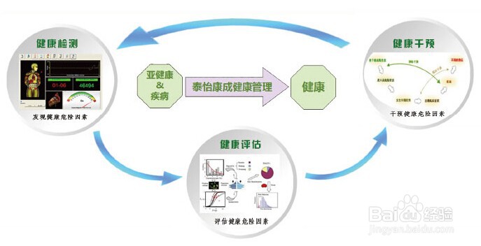 健康管理的三大基本步骤包括