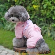 导致狗狗疫苗失败的原因有哪些怎么补救