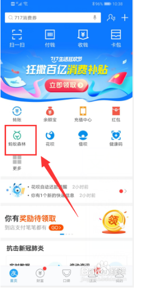 支付宝蚂蚁森林怎么收取能量