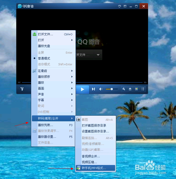 怎么转换视频格式?(qq影音版)