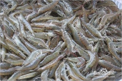 美味虾丸做法(补钙美食~)