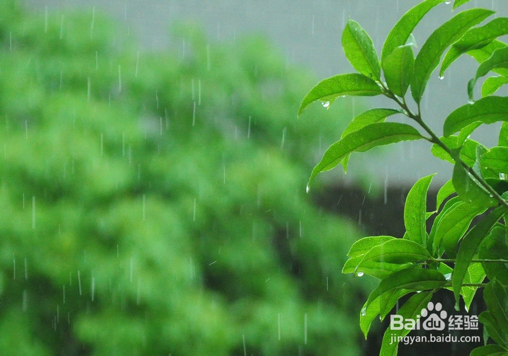 春季养生，怎么去湿气？