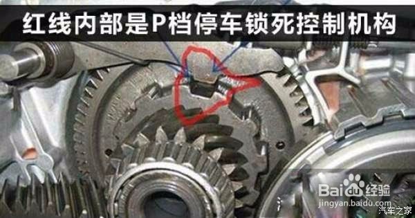 自动挡停车步骤——真那么讲究么