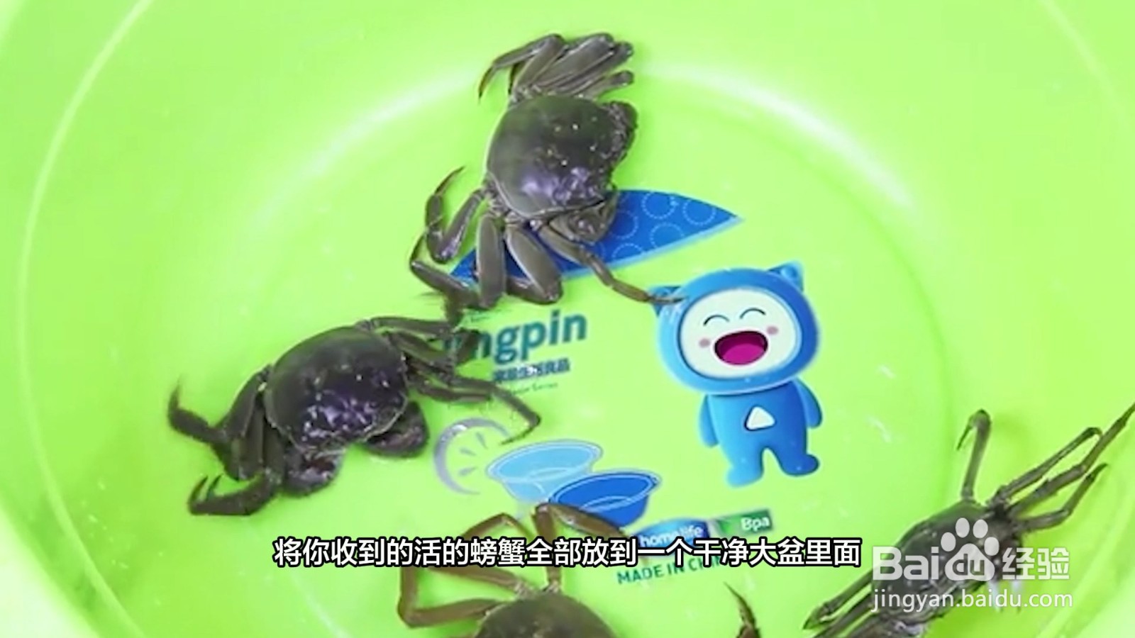 收到的活蟹怎么保存