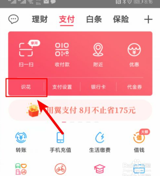 怎么使用翼支付的拍照识花功能