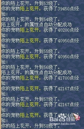 神武速练BB攻略