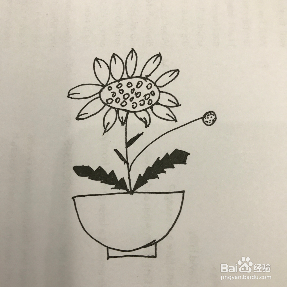 如何画好小清新蒲公英