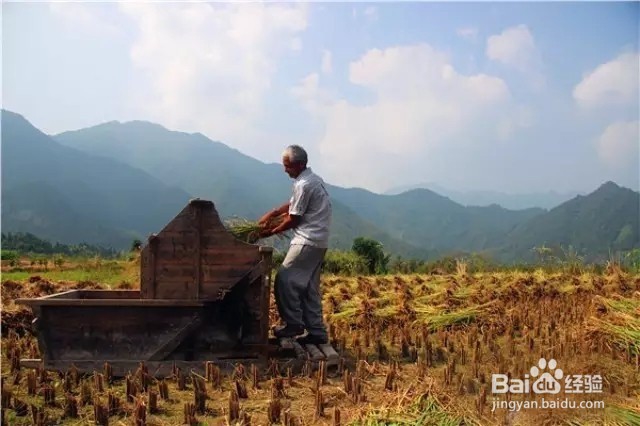 国庆过后，到长沙乡村怎样找农村人的乐子！！！