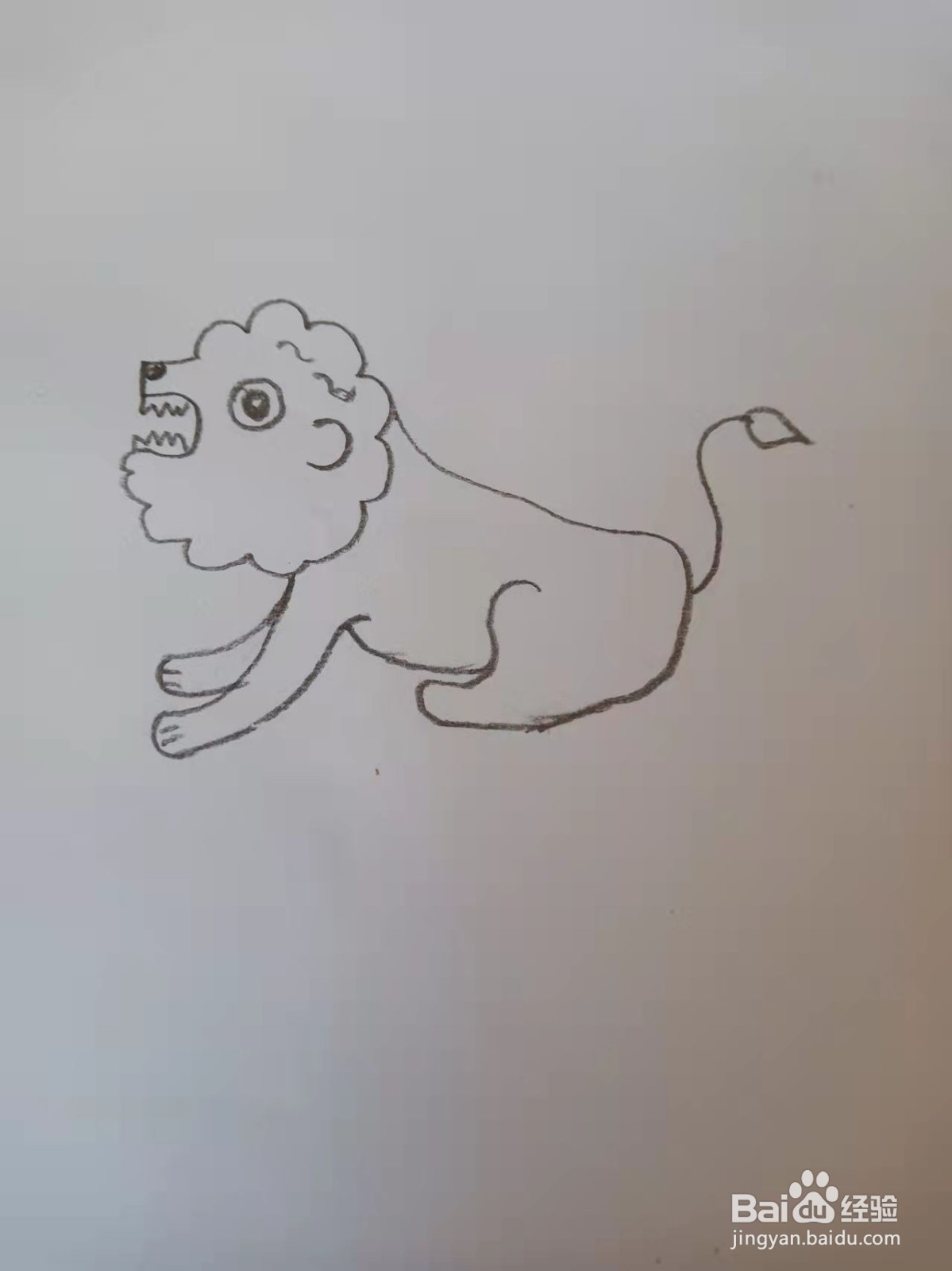 用数字5画狮子