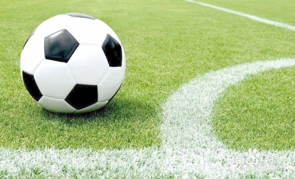 【校园指南】广东水院校园赛事指南