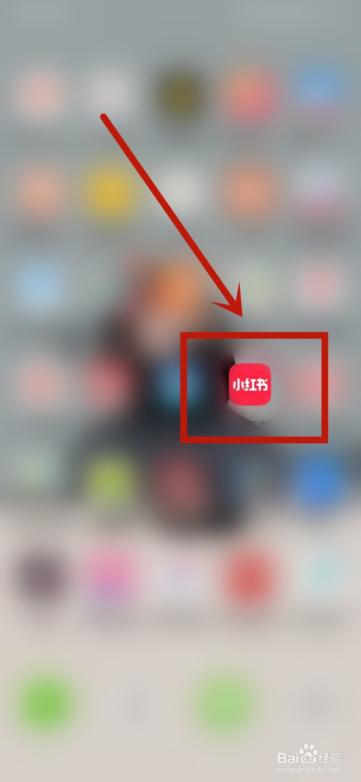 小红书怎么设置官方认证