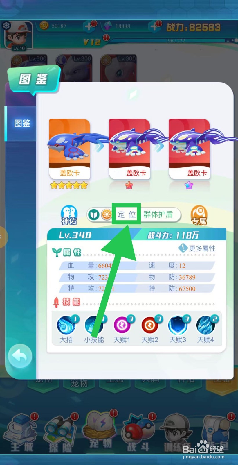 英雄魔法门如何查看盖欧卡的定位