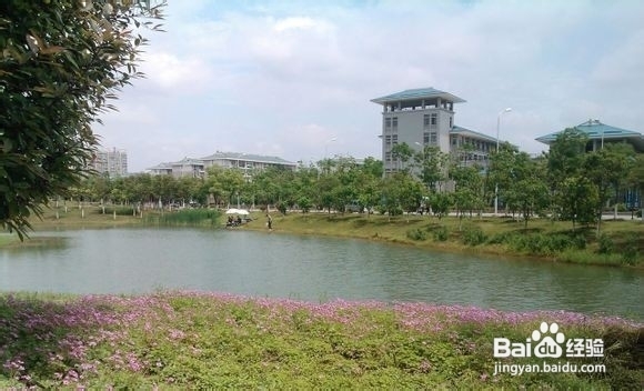 【湖中医小y学长大放送】湖中医导游篇