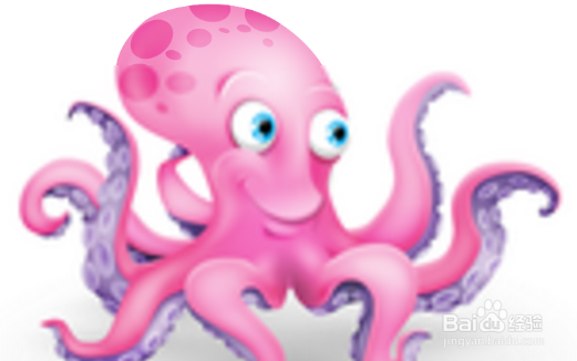 章鱼怎么做好吃