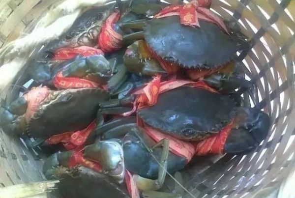 鲜香美味青蟹炒年糕