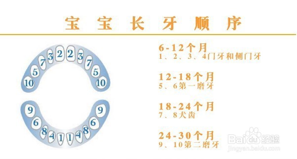 如何护理长牙期宝宝
