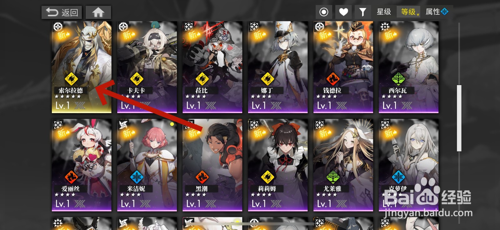 白夜极光怎么提升好感度