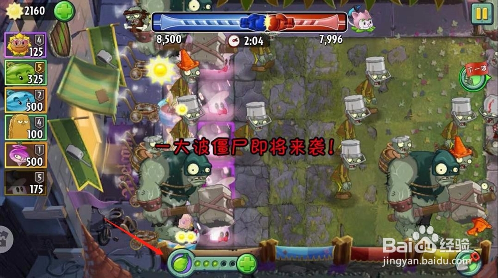 植物大战僵尸2超Z联赛怎么玩