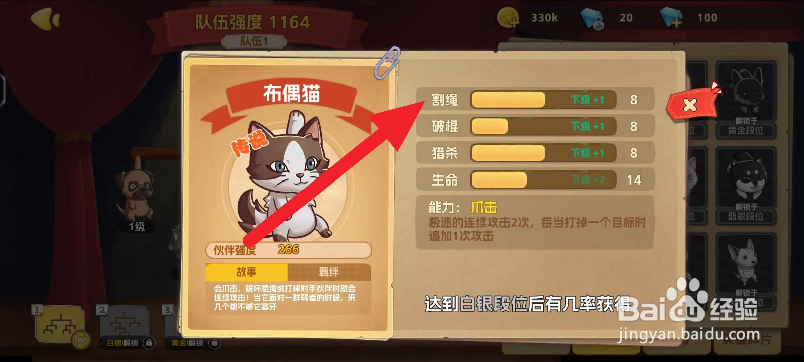 如何查看狗狗呼叫喵星布偶猫的割绳
