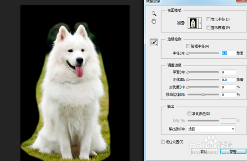 ps实用小技巧：抠出毛发