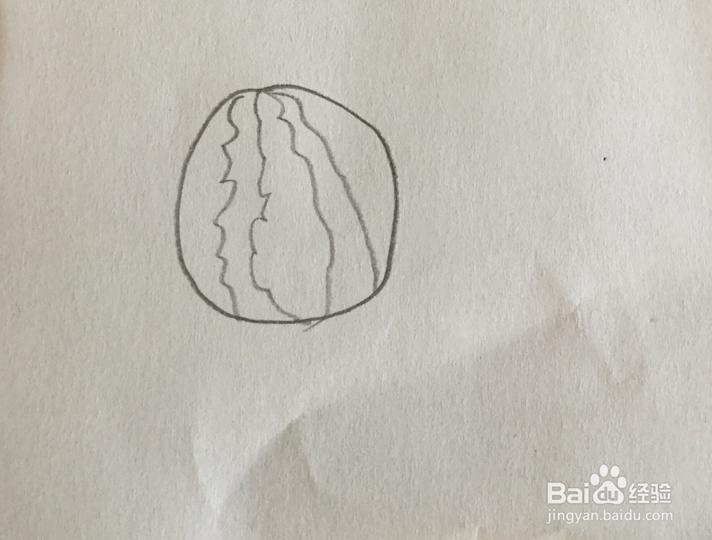 西瓜简笔画教程