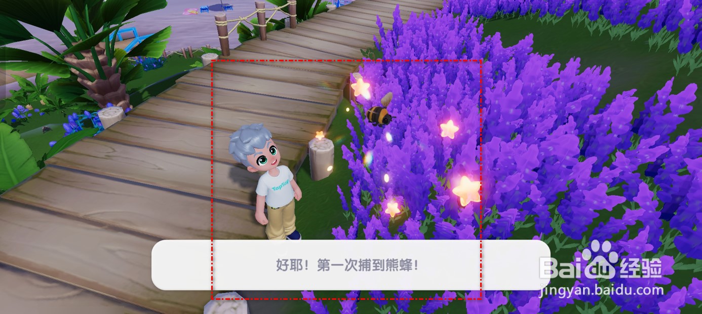 心动小镇在哪里可以捉到熊蜂