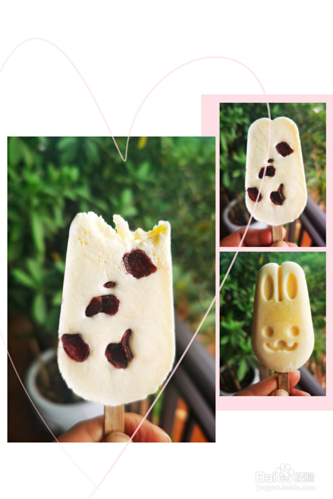 蔓越莓酸奶冰淇淋棒的做法