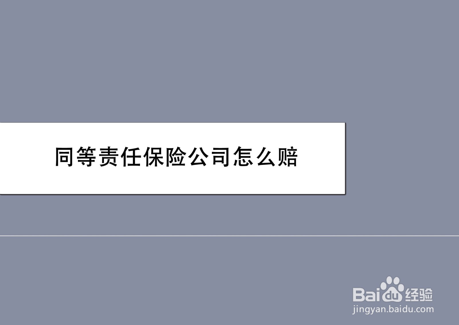 同等责任保险公司怎么赔